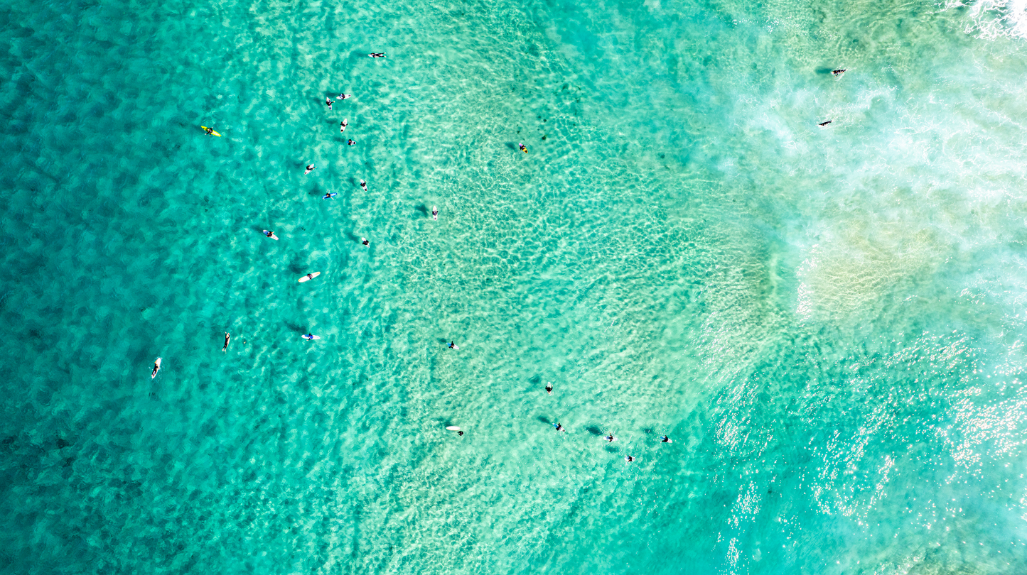 Surfing Greens