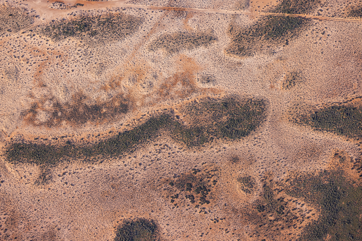 Aerial of the Surface