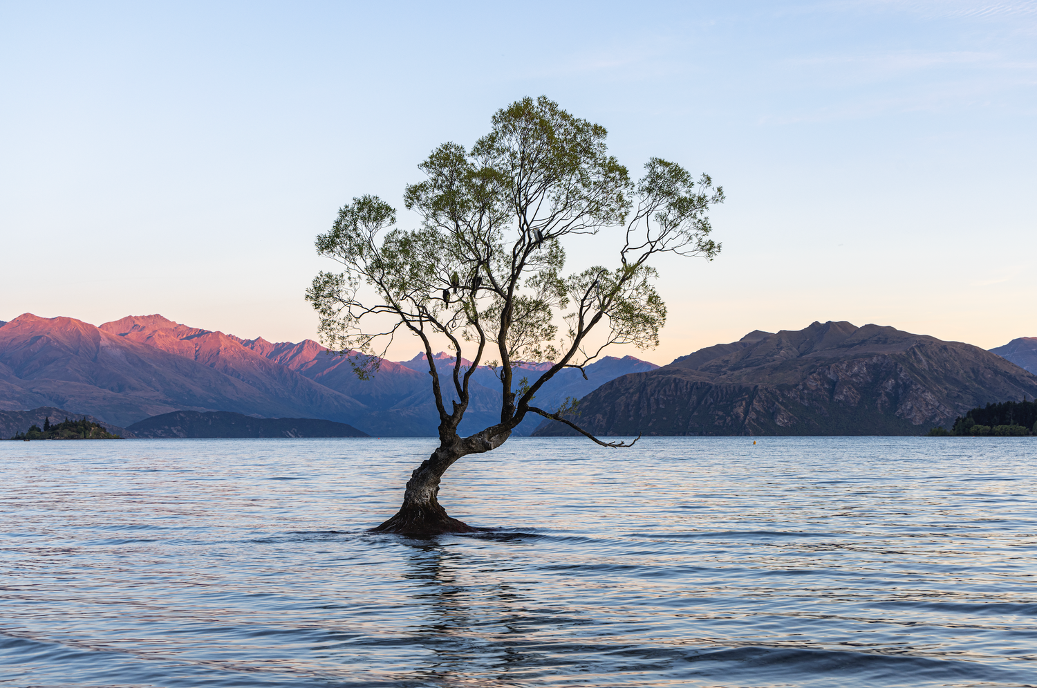 New Zealand