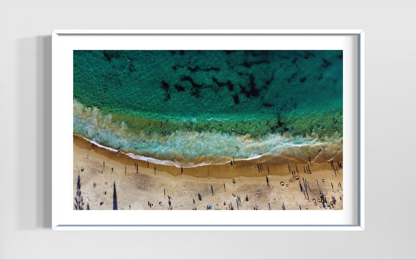 Coogee Shadows