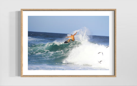 Surfs Up