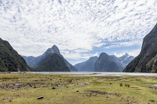 Milford Sounds