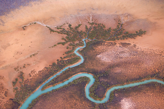 Oasis