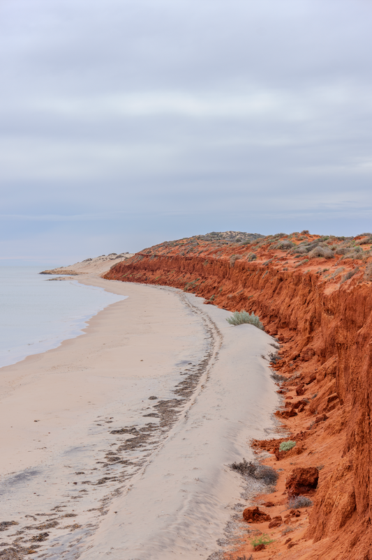 Portrait Cliffs