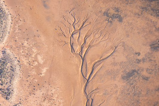 River Delta