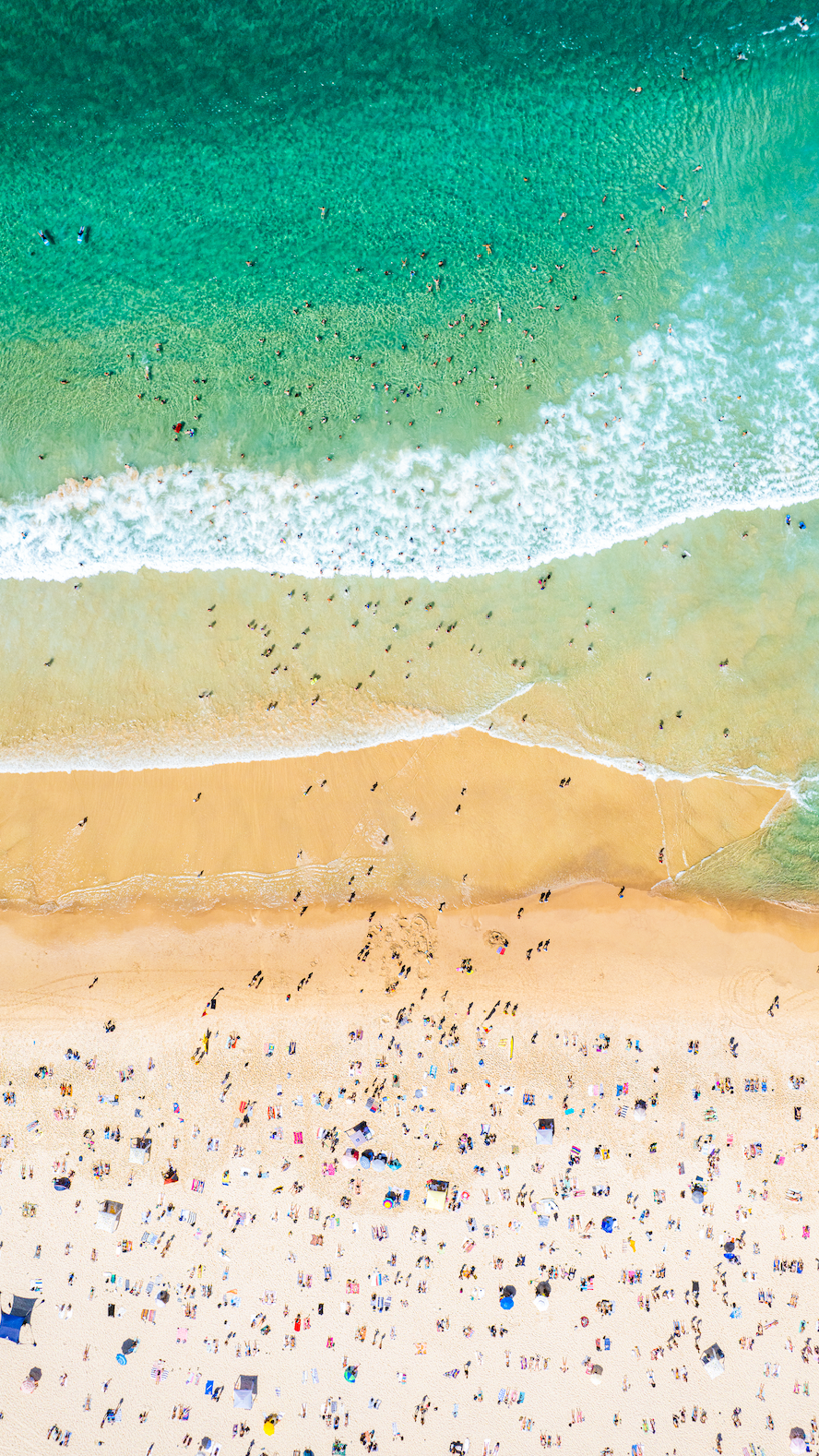 Vibrant Beaching