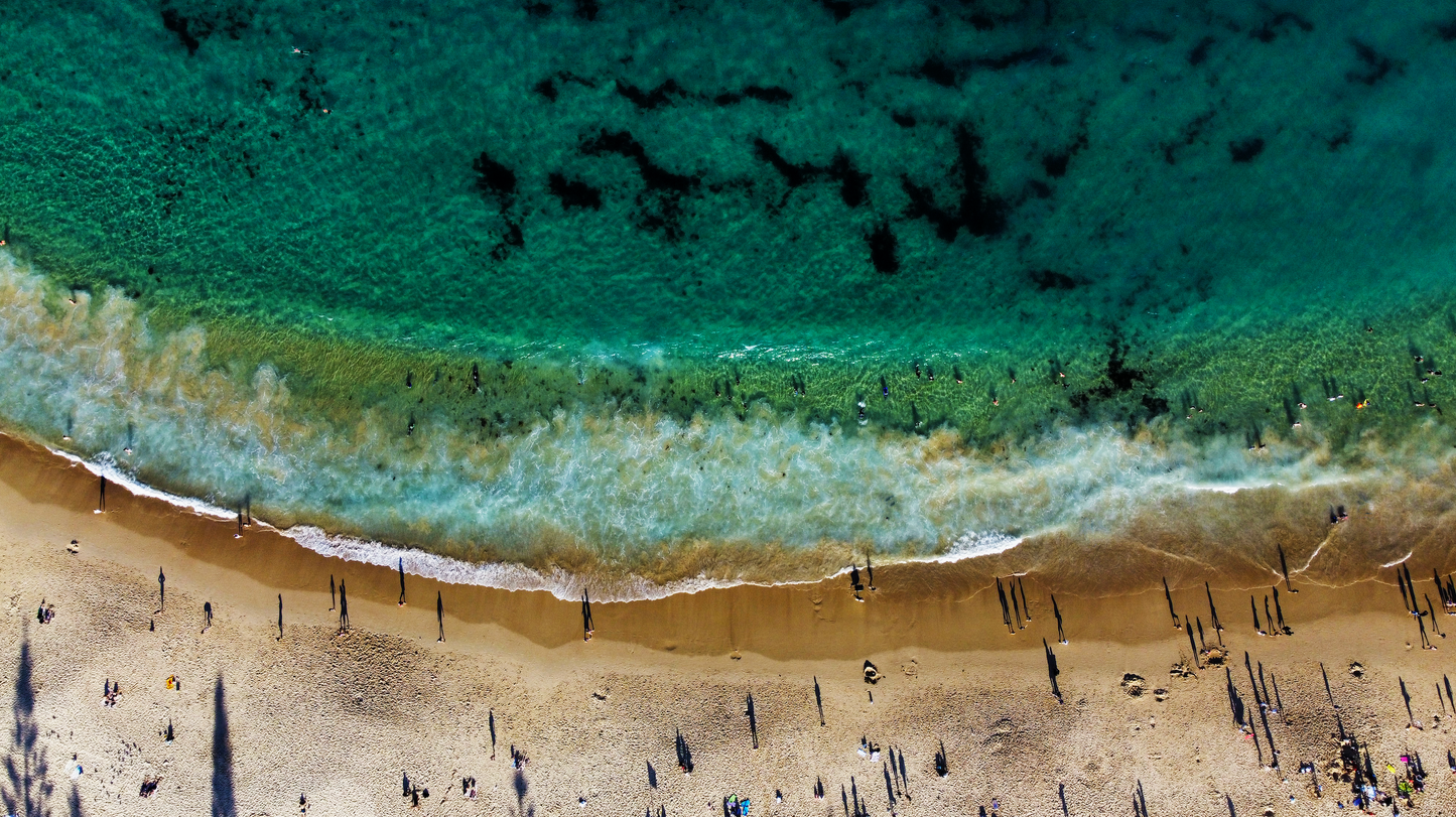 Coogee Shadows