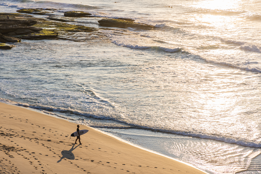 Sunny Surfer