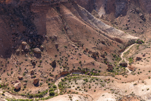 The Canyon