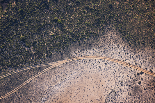 White Tracks