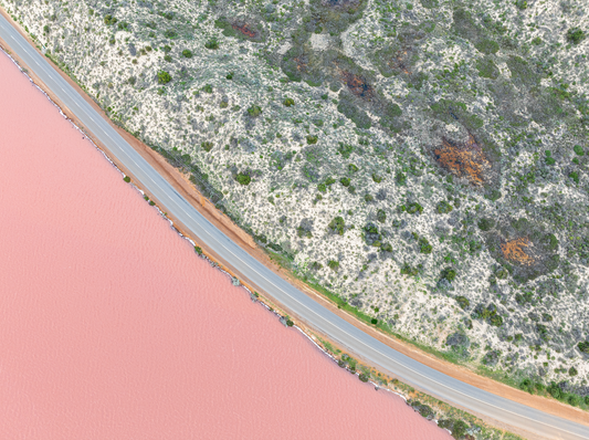 Candyland Drive