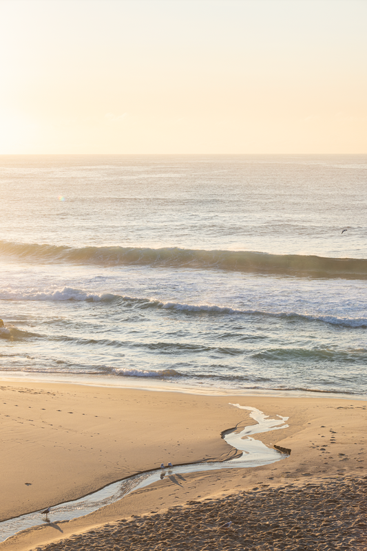 Trail To The Ocean