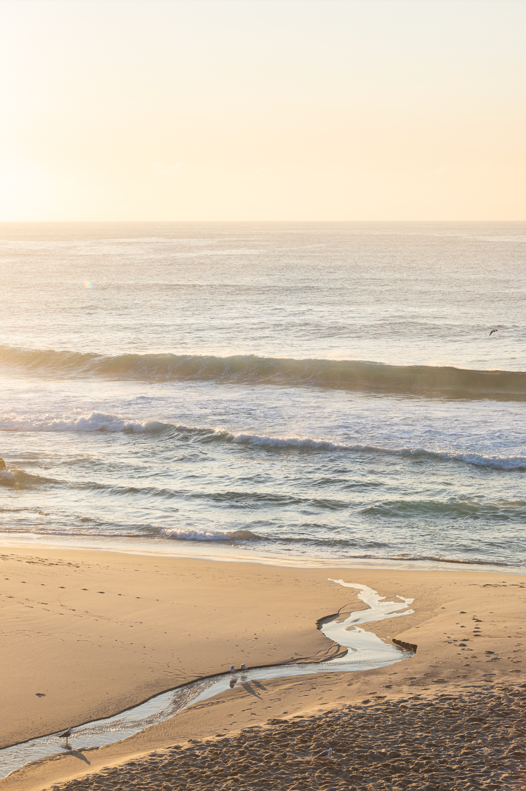 Trail to the ocean