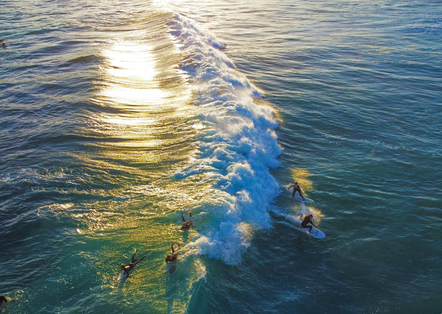 Sunset Surfers