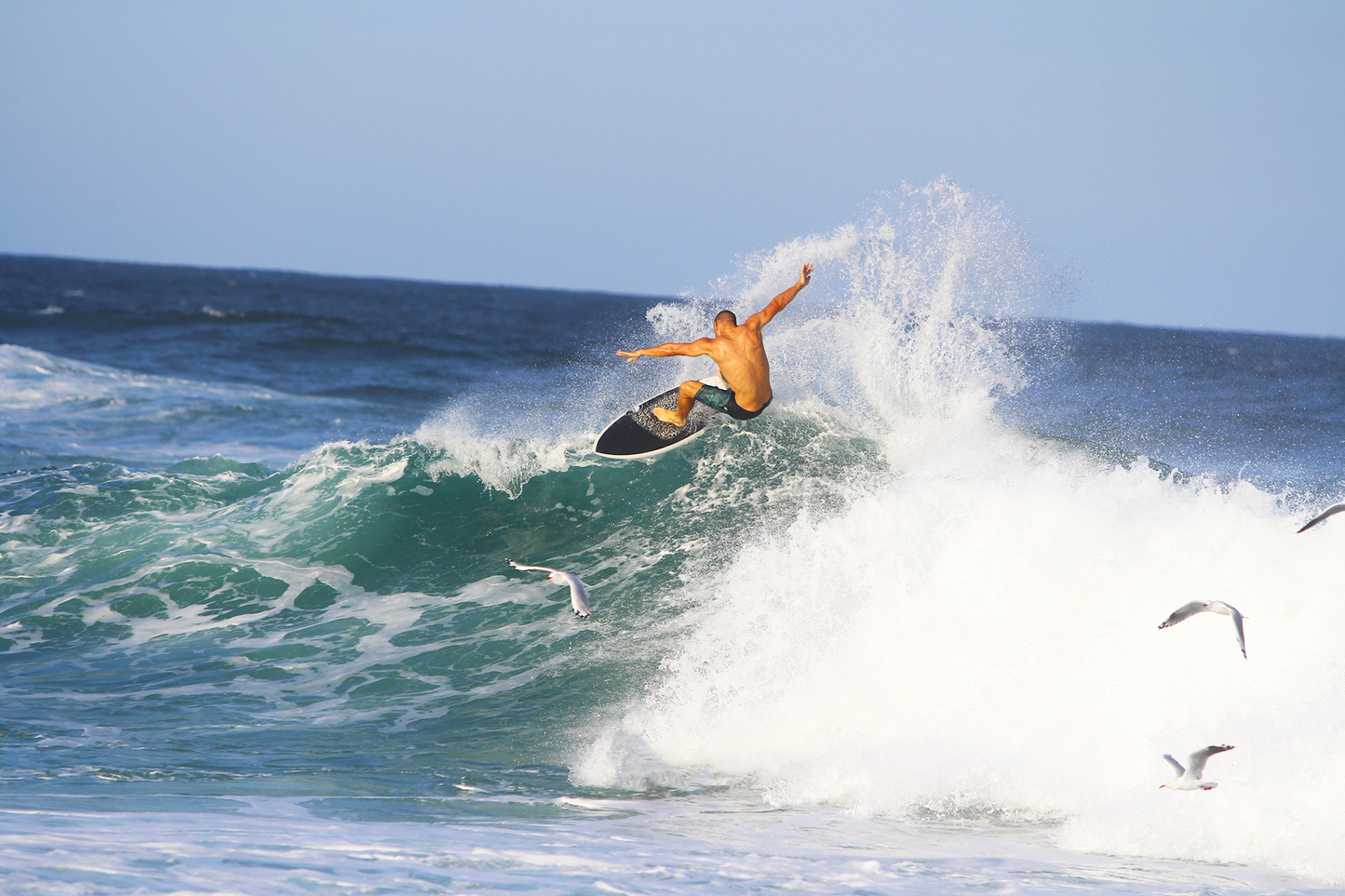 Surfs Up