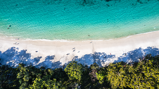 Murray's Beach